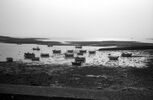 br-5967-22.jpg - 