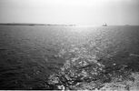 br-5975-35.jpg - 