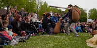 img_0096-6.jpg - 