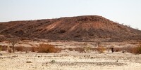 img_9323.jpg - 