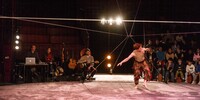 p0181646.jpg - 