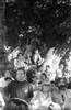 1781-1.jpg - 