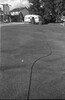 5738-37.jpg - 