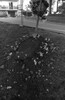 5739-23.jpg - 