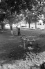 5739-31.jpg - 