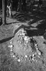 5739-6.jpg - 