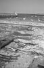 br-5964-8.jpg - 