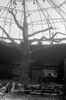 1191-3.jpg - 