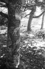 3963-16.jpg - 
