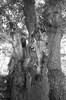 3964-19.jpg - 