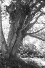 3967-28.jpg - 