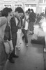 7223-27.jpg - 