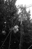 br-1041-11.jpg - 