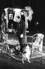 br-2280-23.jpg - 