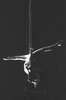 br-2338-24.jpg - 
