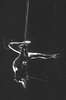 br-2338-26.jpg - 
