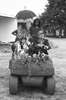 br-2345-15.jpg - 