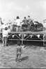 br-2356-9.jpg - 