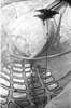 br-2370-10a.jpg - 