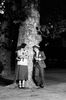 br-3236-17.jpg - 
