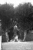 br-3245-9.jpg - 
