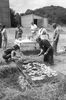 br-3253-3.jpg - 