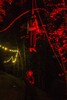 42_p0146948.jpg - 