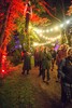 44_p0147137.jpg - 