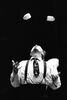 br-3788-10a.jpg - 