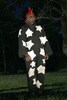 img_3212.jpg - 