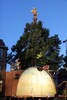 img_6901.jpg - 