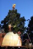 img_6902-1.jpg - 