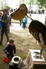 m1007207.jpg - 