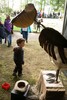 m1007208.jpg - 