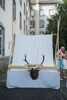p0099998.jpg - 