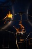 p0108109-2.jpg - 