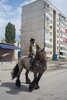 p0111742-1.jpg - 