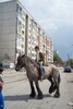 p0111743-1.jpg - 