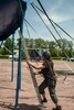 p0156542.jpg - 