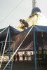p0156548.jpg - 