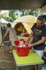 p0174177.jpg - 