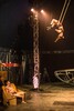 p0176303.jpg - 