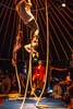 p0179010.jpg - 