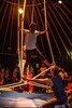 p0179012.jpg - 