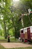 p0179066.jpg - 