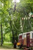 p0179104.jpg - 