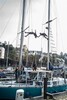 p0180981.jpg - 