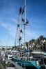 p0181004.jpg - 