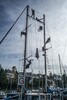 p0181010.jpg - 