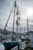 p0181013.jpg - 